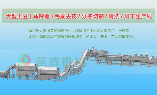 唐海连续式土豆去皮清洗切割风干生产线